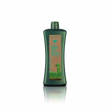 Champú Específico Grasa 1,000ml